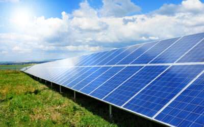 3 Solar Ideas for a Greener Business: How to Save on Energy and Reduce Your Carbon Footprint